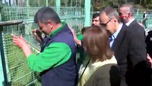 Türkiye'de dünyaya gelen ilk zürafının ismi anketle belirlendi