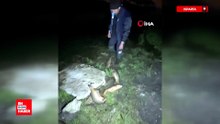 Isparta Eğirdir Gölü’nde kaçak avcılara suçüstü: 100 kilo sazan yeniden göle bırakıldı