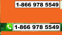 【2026】™ [*ALL] of XFINITY Tech Support Numbers in the USA: TOLL FREE CARE
