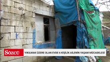 Yıkılmak üzere olan evde 6 kişilik ailenin yaşam mücadelesi