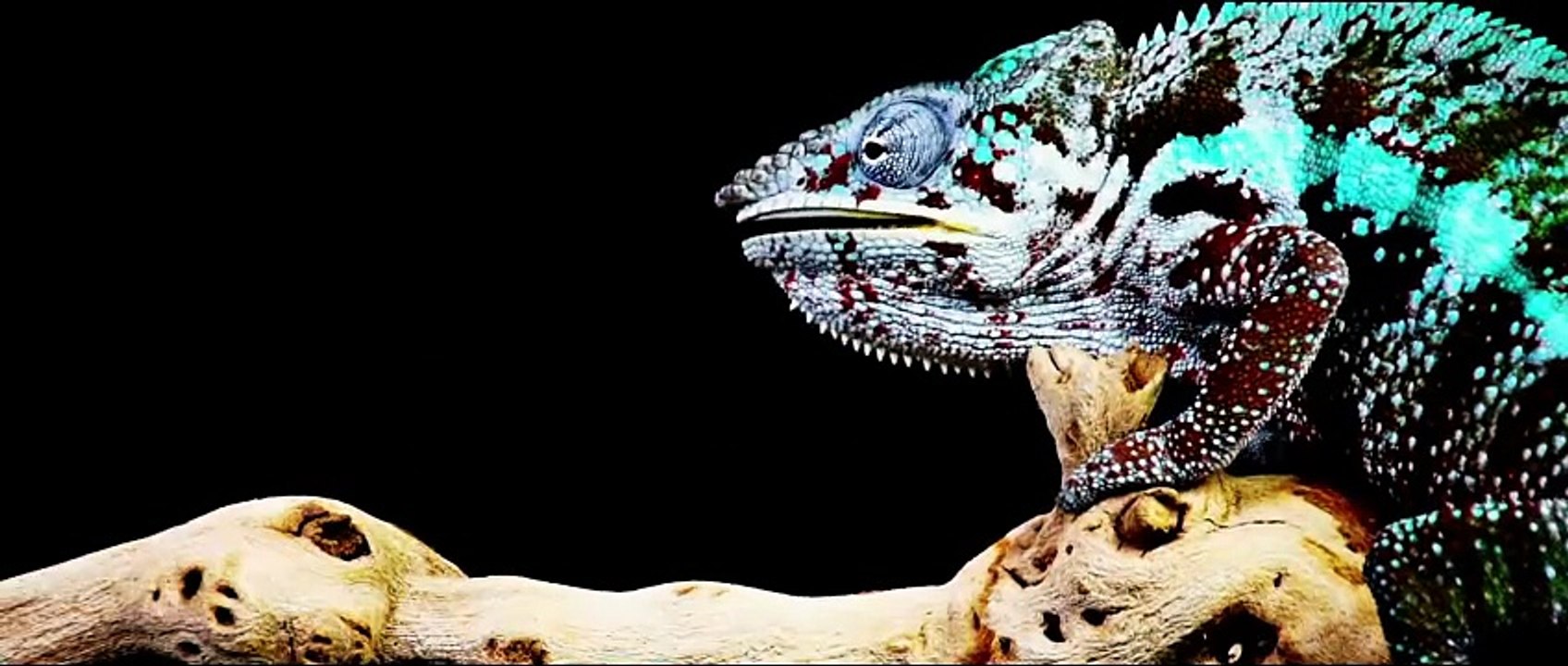 Lucy - deutsch