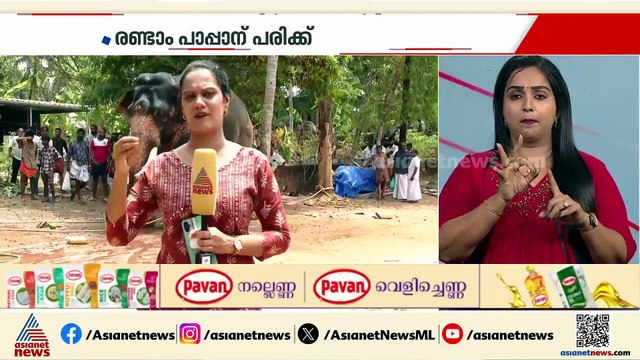കണ്‍മുന്നില്‍ കണ്ടതെല്ലാം ആന തകര്‍ത്തു, അങ്കമാലി കിടങ്ങൂരില്‍ ആന ലോറി ഡ്രൈവറെ ചവിട്ടിക്കൊന്നു