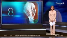 “이게 치킨?”…유리 같은 ‘투명 치킨’ 화제