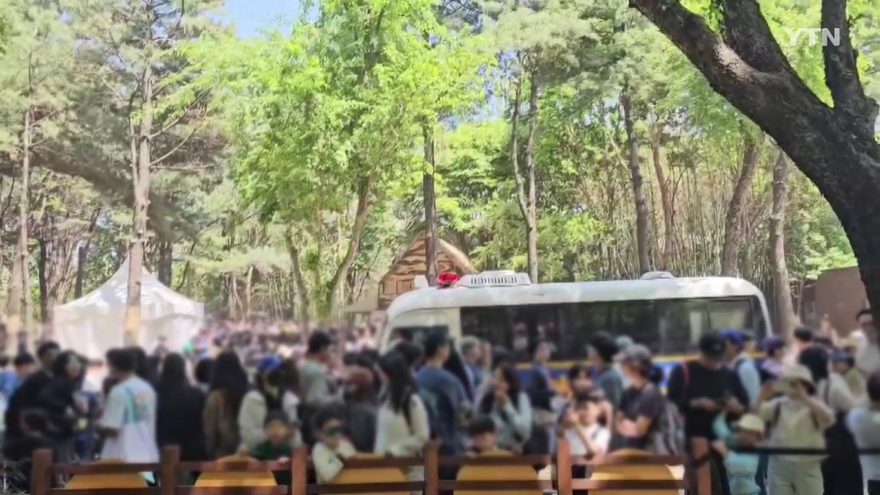 서울 성수동 포켓몬 행사에 인파 밀집...행사 전격 중단 / YTN