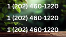 【COINBASE®】Customer- Service And.Support } Number - Complete Guide to Live Chat,, and 24/7 Service Care