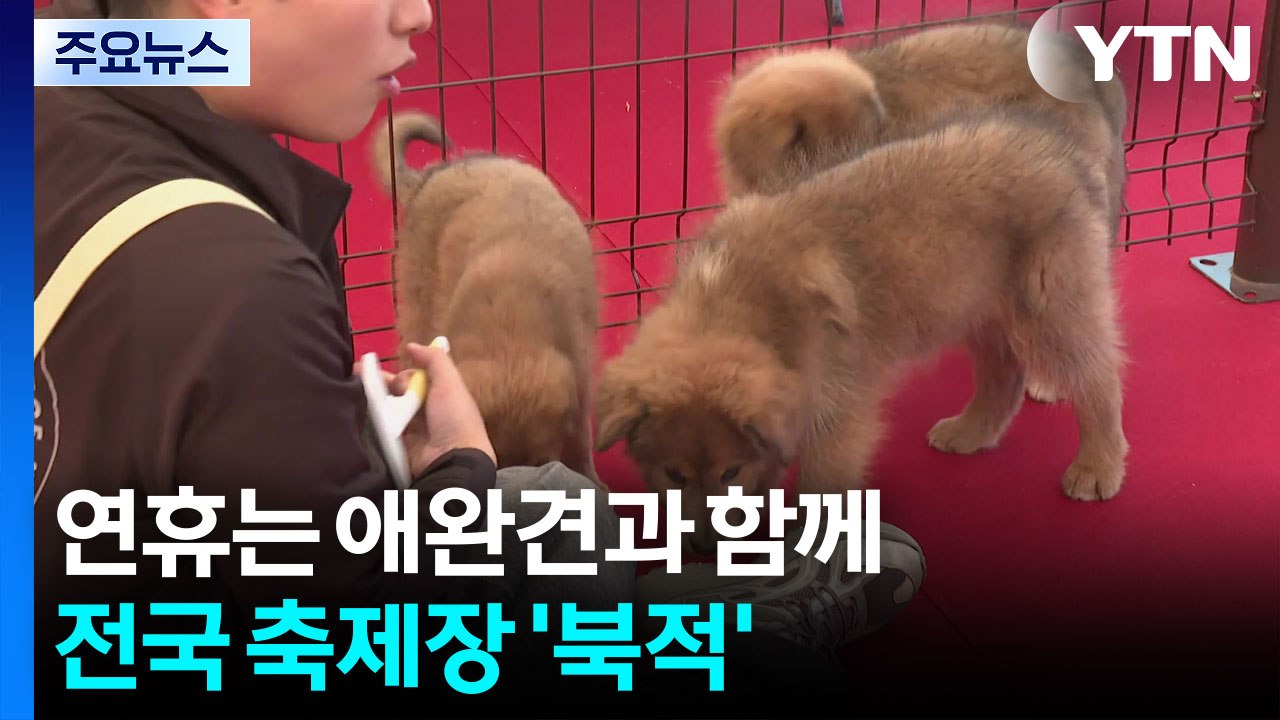 연휴는 애완견과 함께, 바지락 체험도...전국 축제장 '북적' / YTN