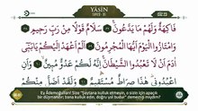 23. Cüz - Ok Takipli Hatim - Kur'an-ı Kerim ve Türkçe Meali