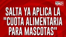 Polémica por la aplicación de la "cuota alimentaria para mascotas"