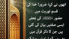 اللہ عزوجل کا حضور ﷺ کو شاہد بنانا اور آپ ﷺ کی تعریف و ثنا بیان کرنا | دوسری فصل (حصہ 2)