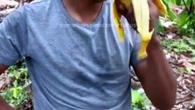 Precisava de uma banana dessas jovem???  #omelhorsoaoscomentarios #engraçado #engraçados #comentarios #comentários