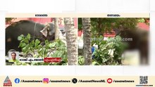 ആനയെ തളയ്ക്കാനുള്ള സംഘം എത്താൻ വൈകി; ആന വളരെ വയലന്റായിരുന്നു: റോജി എം. ജോൺ