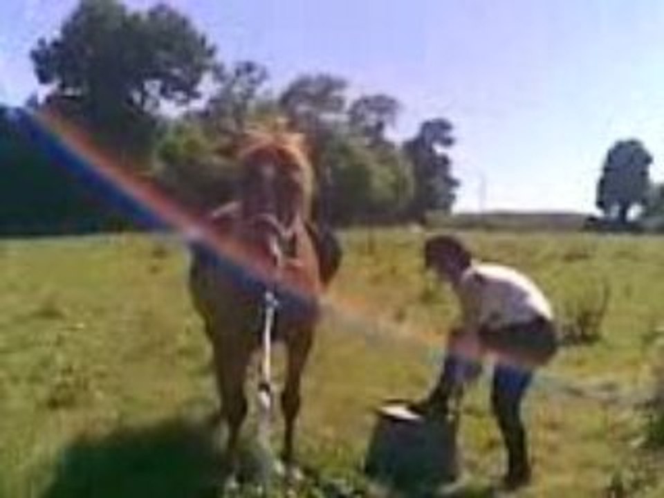 debourrage NOHA etape 1