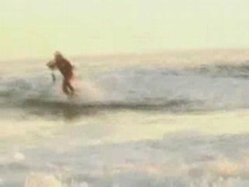 Shark_surf
