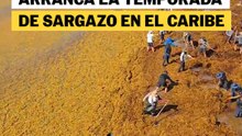 no usar