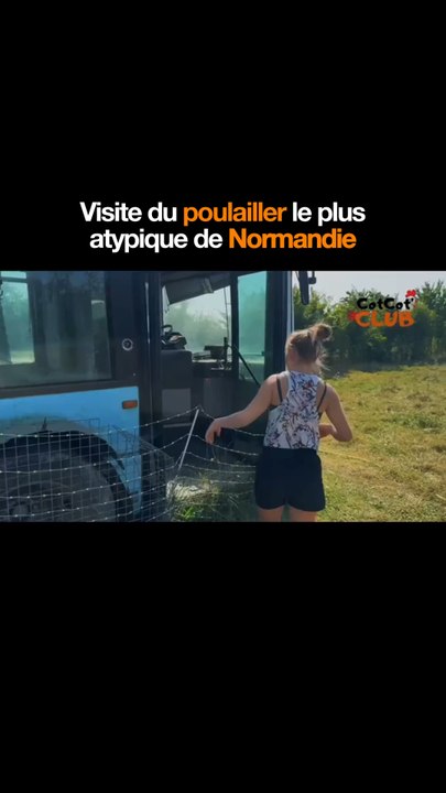 La visite du poulailler, le plus atypique de Normandie ! 🐔