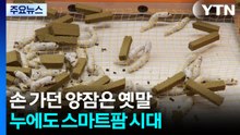 [녹색] 손 가던 양잠은 옛말...누에도 스마트팜 시대 / YTN