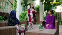 Mere Pass Raho Tum  Episode 13  1st May 2026  Nawal Saeed  Omer Shahzad  Hiba Ali Khan