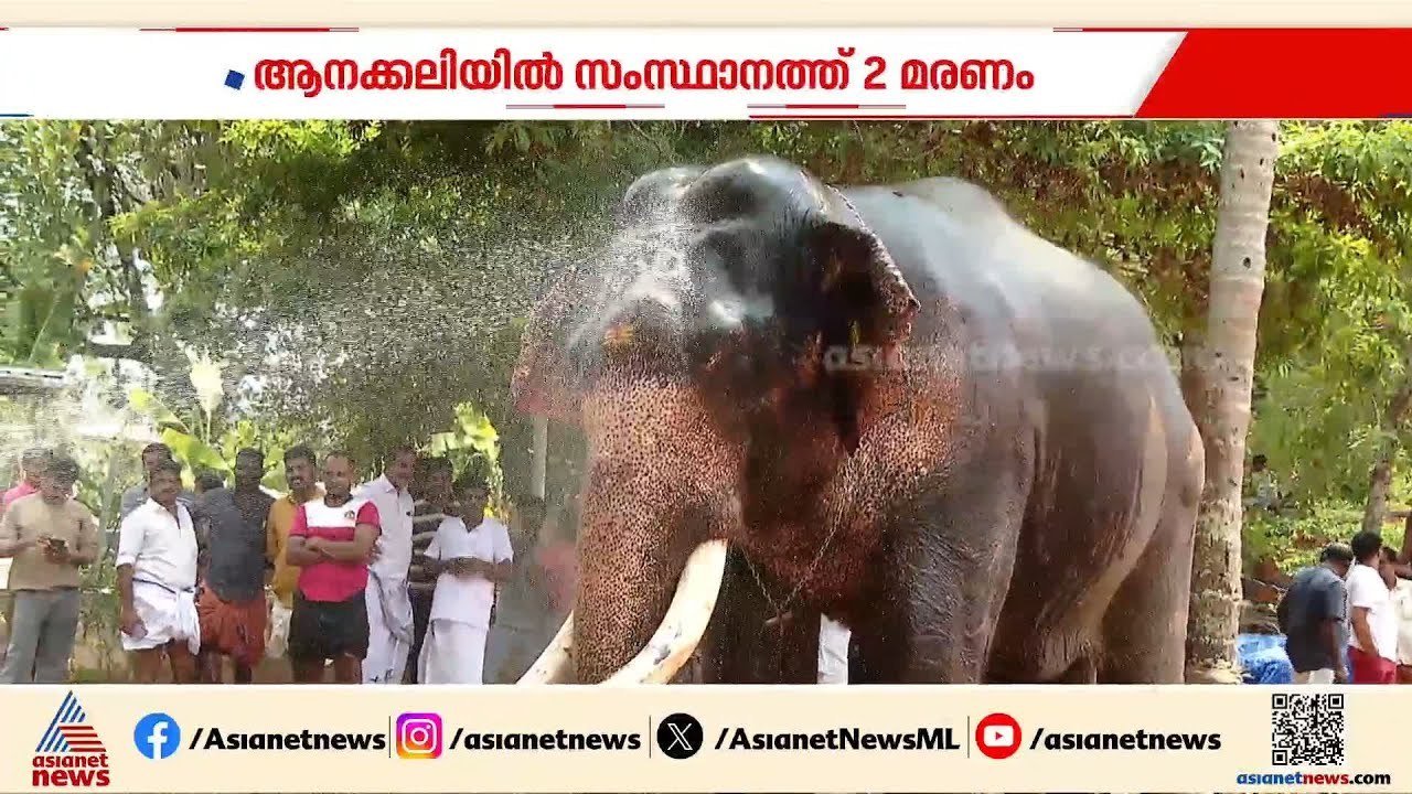 ആനക്കലിയിൽ ഇന്ന് പൊലിഞ്ഞത് രണ്ട് ജീവനുകൾ | Elep...
