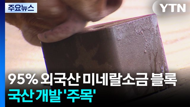 95% 외국산 미네랄소금 블록...탁월한 국산 개발 '주목' / YTN