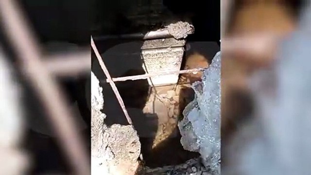 Internauta denuncia túmulo com larvas de mosquito da dengue e água parada em cemitério de Cascavel