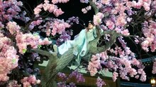 EP 11-12 Soft-Hearted God (2026) - ENG SUB [Full Movie] [Full Episodes]Full EP - Full