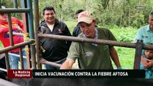 Mérida | Comenzó la vacunación contra la fiebre aftosa en todo el estado