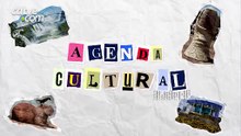 Agenda cultural reúne festivais, teatro e atividades para crianças