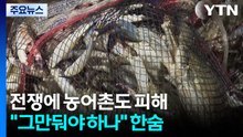 '중동 사태'에 농어촌도 피해..."그만둬야 하나" 한숨 / YTN
