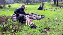 Hot Tent Camping in Heavy Rain All Day_ - Caught in Rainstorm With My Dogs