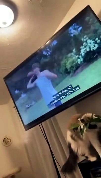 The most genuine reaction possible