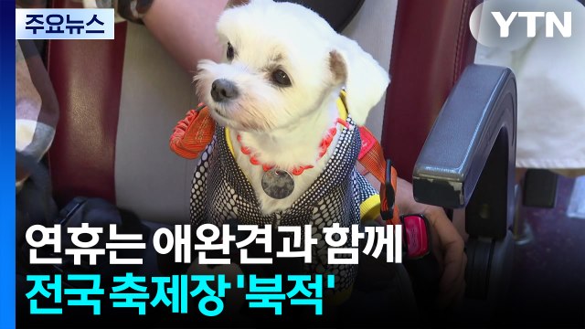 연휴는 애완견과 함께, 바지락 체험도...전국 축제장 '북적' / YTN