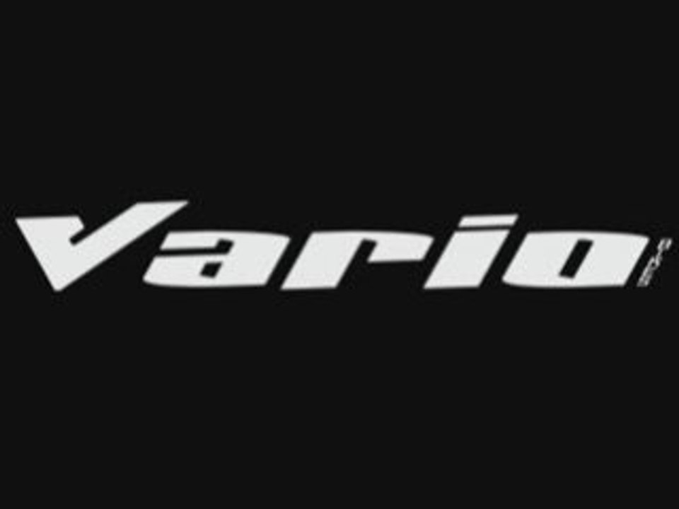vario bike 2