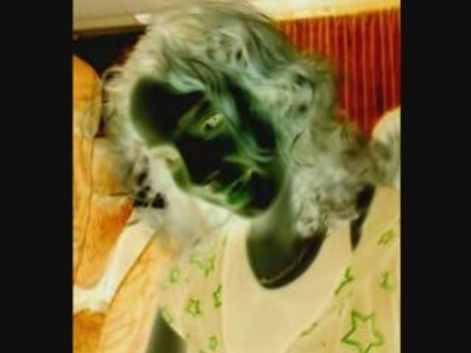 journéé entre amis