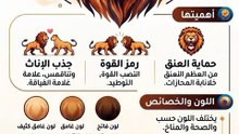 حقائق مذهلة عن لبدة الأسد لم تسمع بها من قبل!