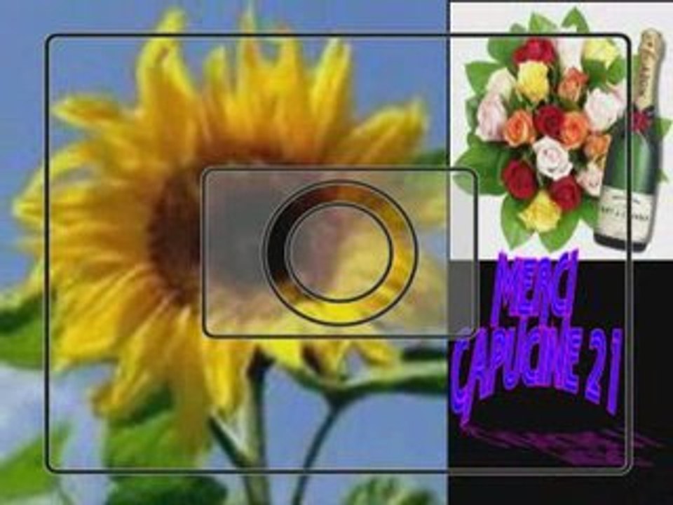 Amis de dailymotion MERCI