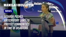 Legarda pushes anticipatory laws to protect communities in time of disasters