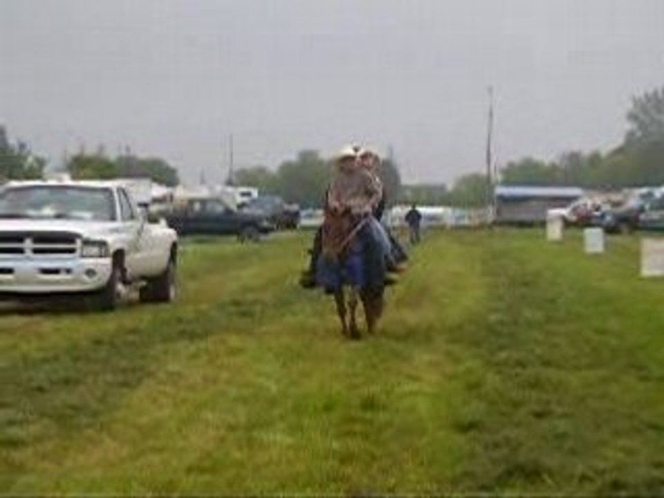 Équinoxe Jument a Pam!