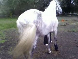 PASO FOURBURE AIGÜE!!!!! RAS LE BOL