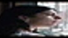 S o m e t h i n g   V e r y   B a d   I s   G o i n g   T o   H a p p e n   S 0 1 E 0 2 [Full Movie] [Full Story]Full EP - Full