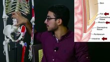 ليه تمرين البطن لوحده بيزود حجم البطن ويكبر الكرش ؟!