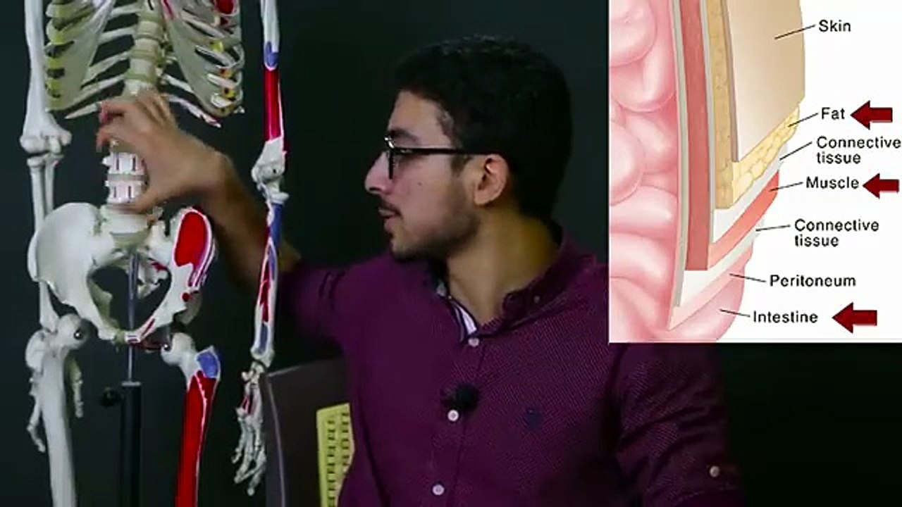 ليه تمرين البطن لوحده بيزود حجم البطن ويكبر الكرش ؟!