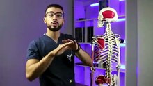 طرقعة الظهر والمفاصل ما بين الحقيقة والخرافات - احذر أن تصاب بالشلل من سمكرة البنى آدمين