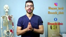 خرافة انواع الجسم والدايت والتمرين المناسب لكل نوع