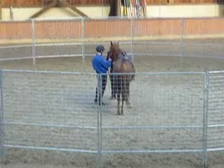Monty Roberts 10 Juin 2008