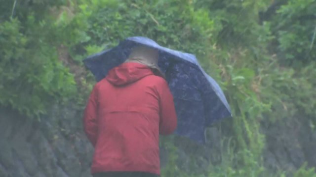 [날씨] 내일 전국 비바람, '쌀쌀'...남해안·제주 많은 비 / YTN