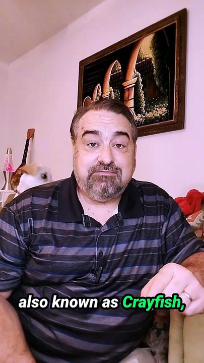 Healed By Jesus Christ – A Poem by David Michael Cray (Crayfish)