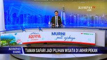 Keseruan Libur Akhir Pekan di Taman Safari Bogor | KOMPAS SIANG