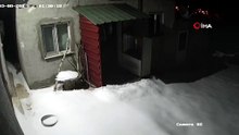 Yaban hayvanlarının dadandığı eve korkutan ziyaret: Dev ayı kapıya dayandı!