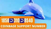 ALL TImE sUpPorT^ 121~//\\【Verified】अ ⋉[FULLGUIDE]⇻ Coinbase® WALLET© SuppORT℗ Phone1[858}↝355↝4955 (20)