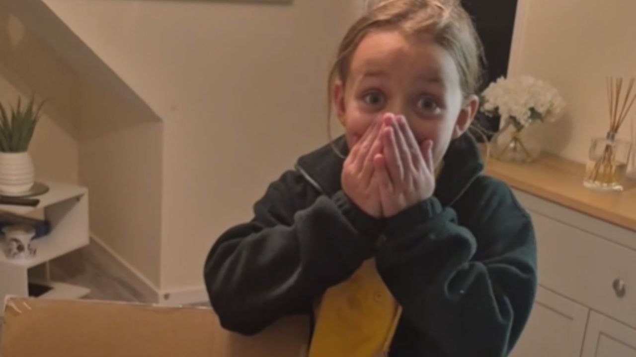 Small Box Delivers A Big Surprise For A Little Girl